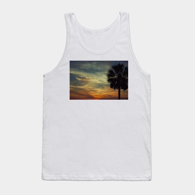 Florida sunset with Palm Tree Tank Top by AdrianaHolmesArt